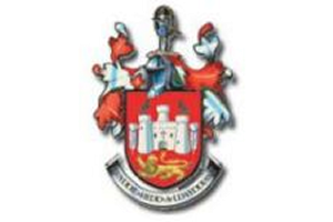 Owl Image