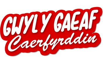 Gwyl y Gaeaf Caerfyrddin